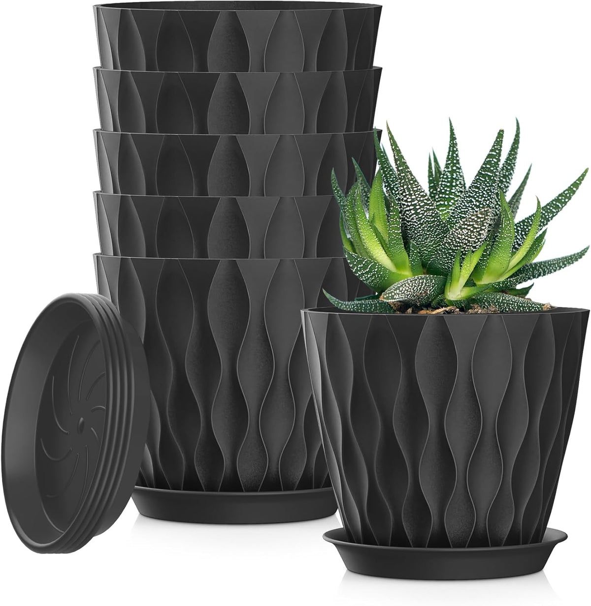 4 Inch Plant Pots, 6 Pack Indoor Flower Pots, Planters with Drainage Holes and Trays for Orchids, Violets, Succulents, Herbs, and Other Plants,Corolful