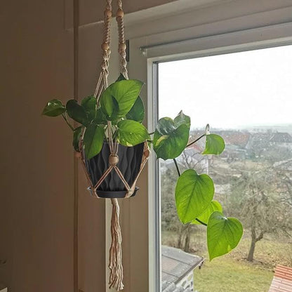 4 Inch Plant Pots, 6 Pack Indoor Flower Pots, Planters with Drainage Holes and Trays for Orchids, Violets, Succulents, Herbs, and Other Plants,Corolful