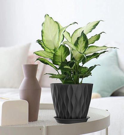4 Inch Plant Pots, 6 Pack Indoor Flower Pots, Planters with Drainage Holes and Trays for Orchids, Violets, Succulents, Herbs, and Other Plants,Corolful