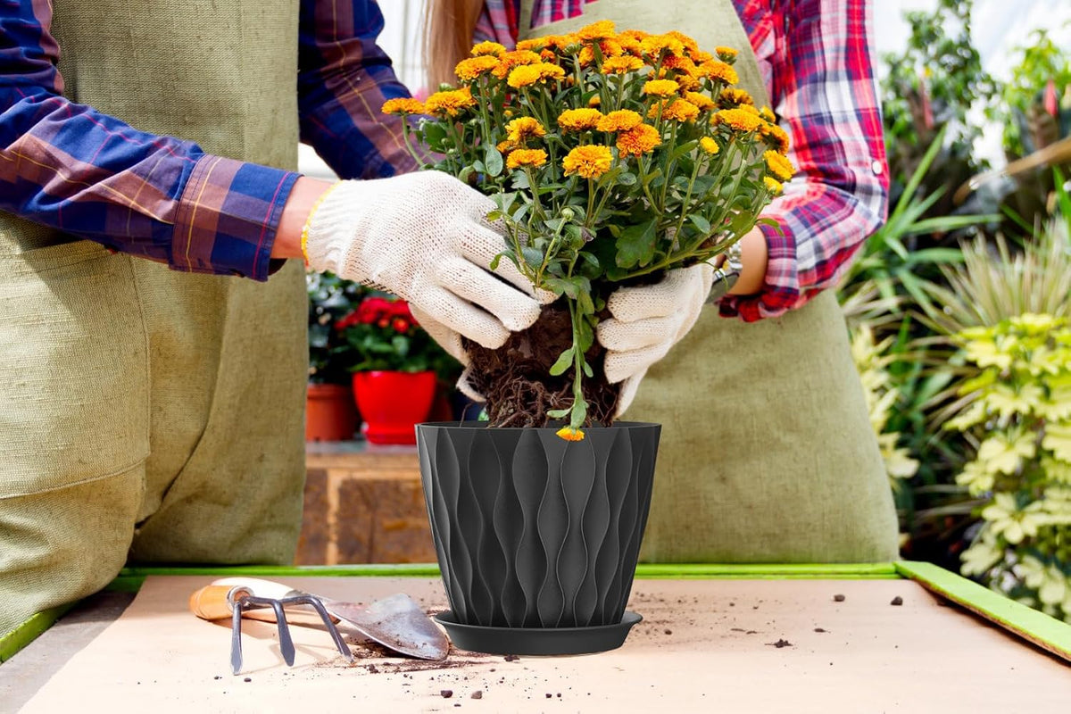 4 Inch Plant Pots, 6 Pack Indoor Flower Pots, Planters with Drainage Holes and Trays for Orchids, Violets, Succulents, Herbs, and Other Plants,Corolful