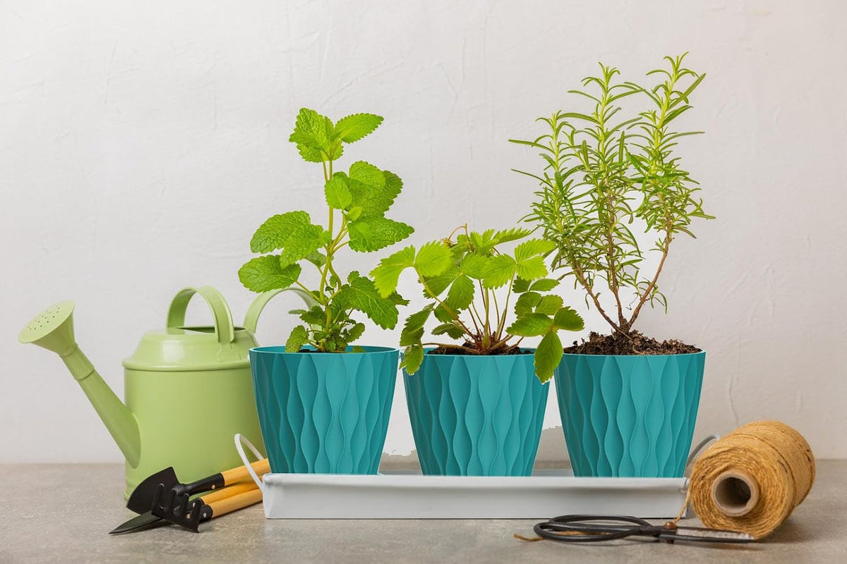 4 Inch Plant Pots, 6 Pack Indoor Flower Pots, Planters with Drainage Holes and Trays for Orchids, Violets, Succulents, Herbs, and Other Plants,Corolful