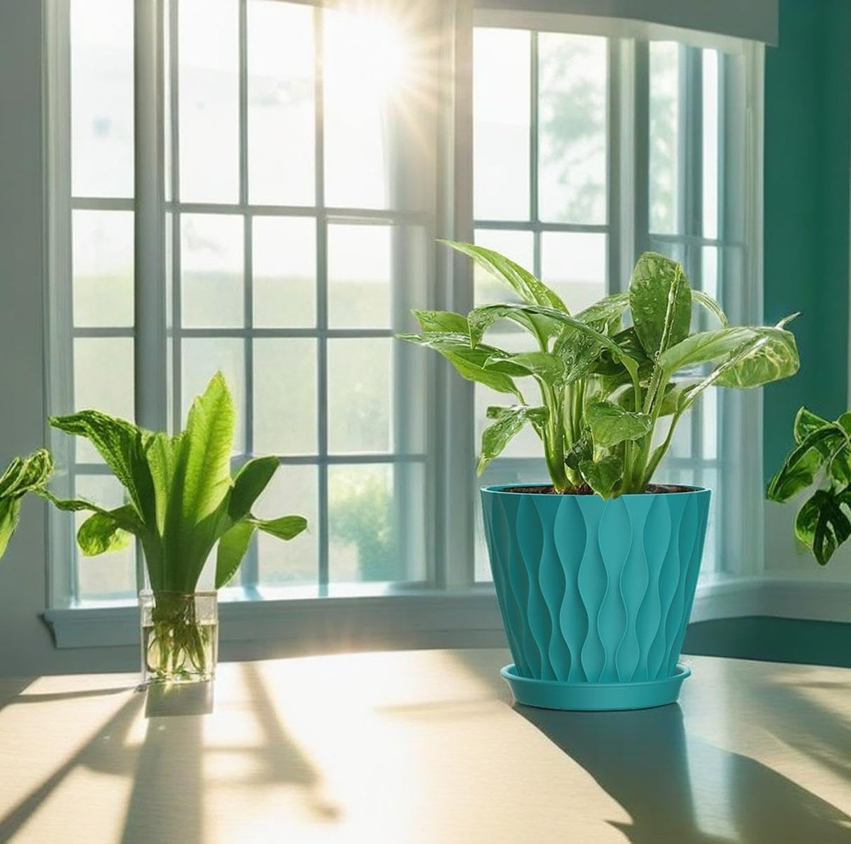 4 Inch Plant Pots, 6 Pack Indoor Flower Pots, Planters with Drainage Holes and Trays for Orchids, Violets, Succulents, Herbs, and Other Plants,Corolful