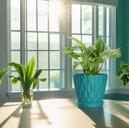 4 Inch Plant Pots, 6 Pack Indoor Flower Pots, Planters with Drainage Holes and Trays for Orchids, Violets, Succulents, Herbs, and Other Plants,Corolful