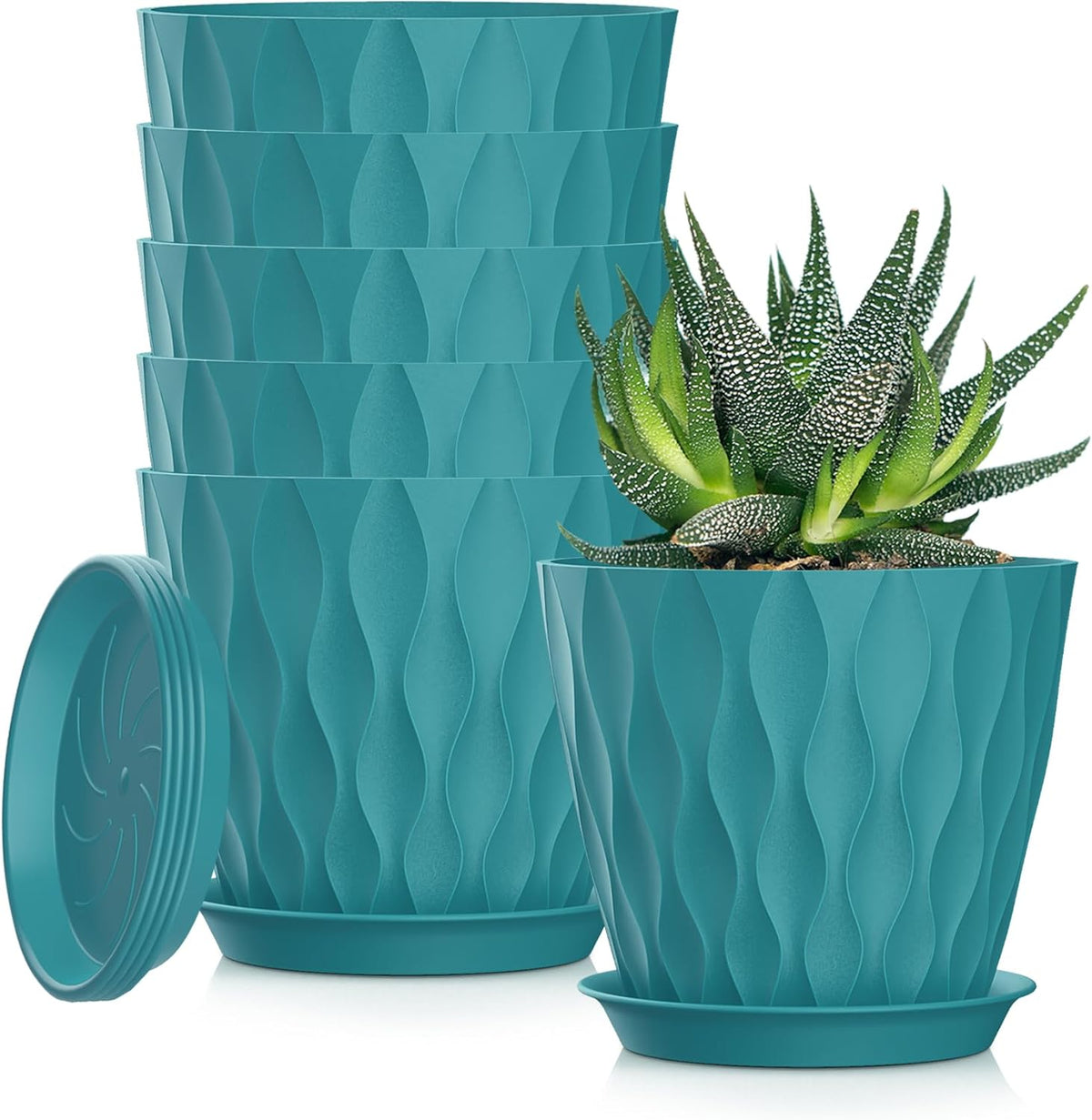 4 Inch Plant Pots, 6 Pack Indoor Flower Pots, Planters with Drainage Holes and Trays for Orchids, Violets, Succulents, Herbs, and Other Plants,Corolful