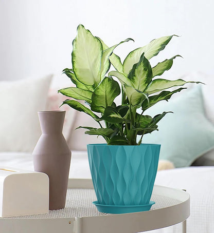 4 Inch Plant Pots, 6 Pack Indoor Flower Pots, Planters with Drainage Holes and Trays for Orchids, Violets, Succulents, Herbs, and Other Plants,Corolful