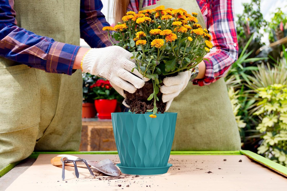 4 Inch Plant Pots, 6 Pack Indoor Flower Pots, Planters with Drainage Holes and Trays for Orchids, Violets, Succulents, Herbs, and Other Plants,Corolful