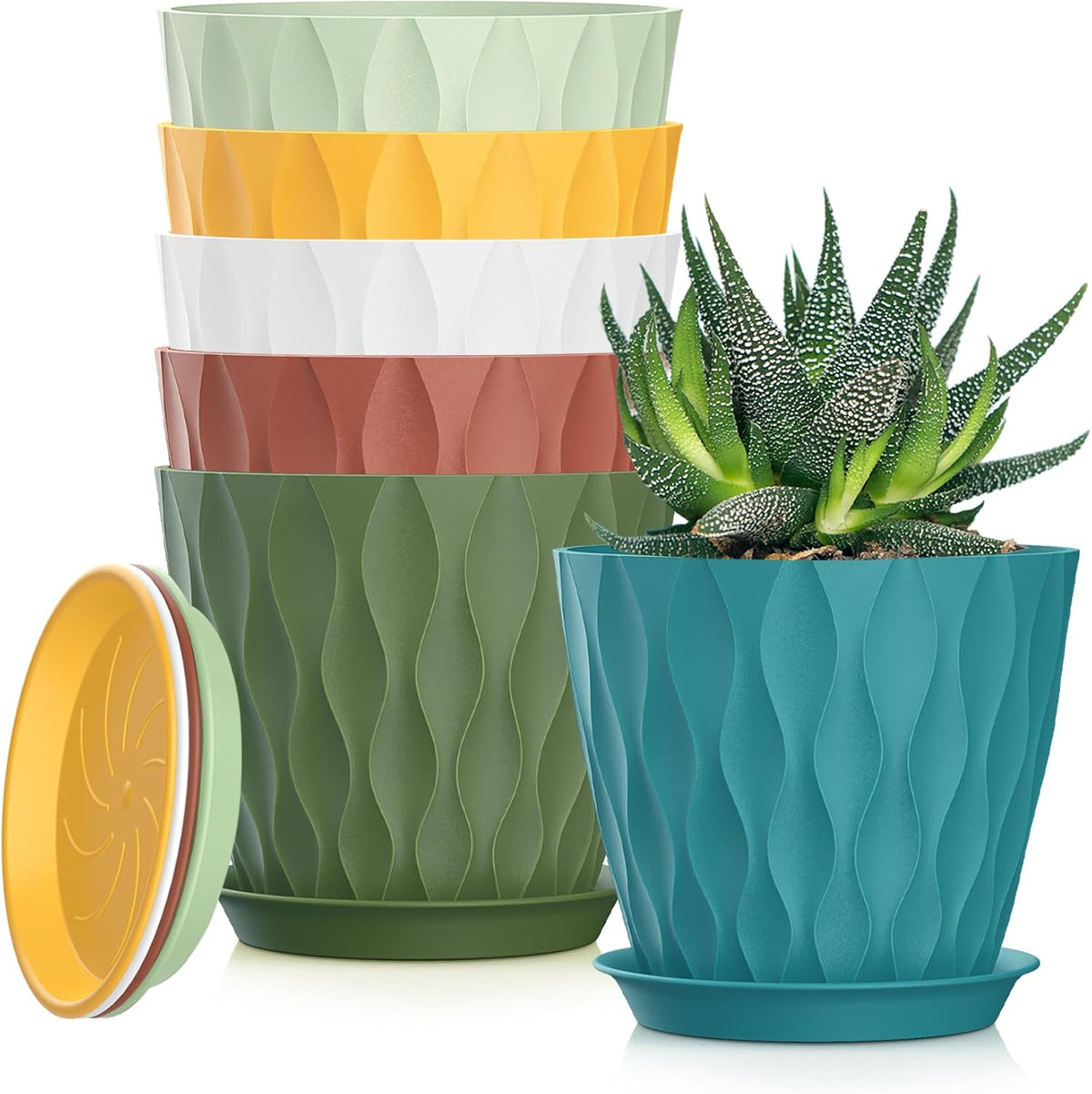 4 Inch Plant Pots, 6 Pack Indoor Flower Pots, Planters with Drainage Holes and Trays for Orchids, Violets, Succulents, Herbs, and Other Plants,Corolful