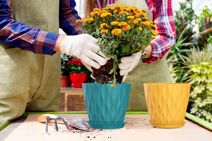 4 Inch Plant Pots, 6 Pack Indoor Flower Pots, Planters with Drainage Holes and Trays for Orchids, Violets, Succulents, Herbs, and Other Plants,Corolful