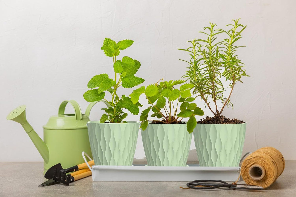 4 Inch Plant Pots, 6 Pack Indoor Flower Pots, Planters with Drainage Holes and Trays for Orchids, Violets, Succulents, Herbs, and Other Plants,Corolful