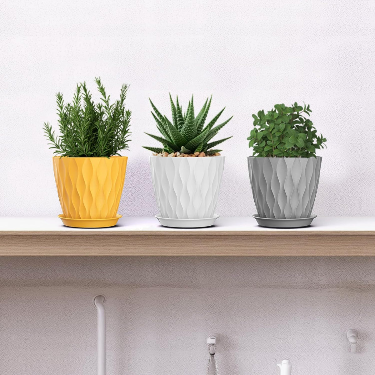 4 Inch Plant Pots, 6 Pack Indoor Flower Pots, Planters with Drainage Holes and Trays for Orchids, Violets, Succulents, Herbs, and Other Plants,Corolful