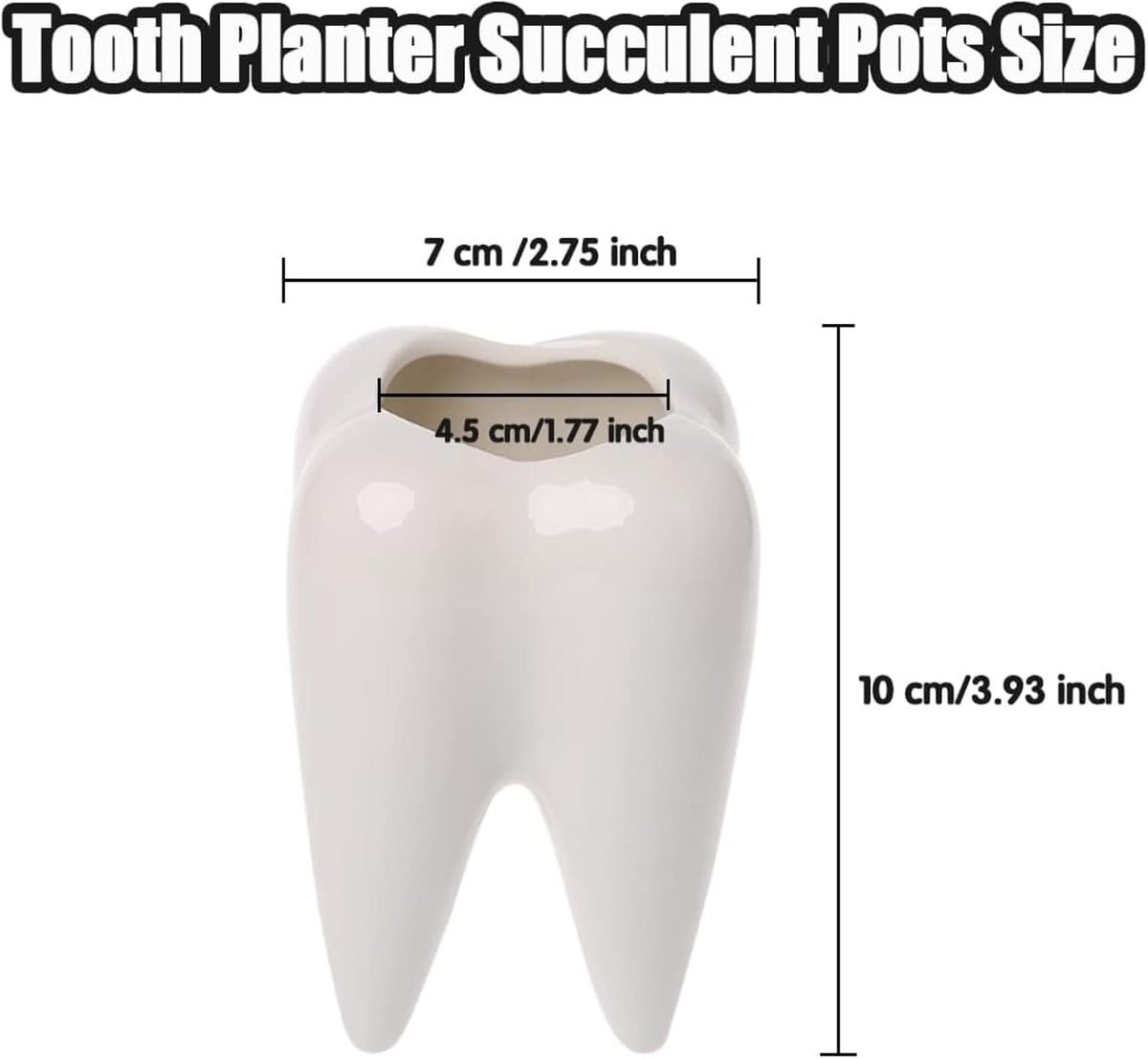 Small Ceramic Succulent Pots - 3" Teeth Shape Planters Indoor & Outdoor for Succulents and Herbs, Perfect as Planters, Toothbrush Holder, Pen Holder or Dentist Gifts