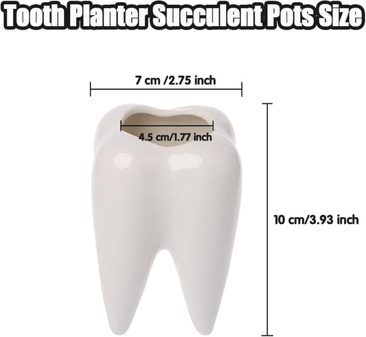 Small Ceramic Succulent Pots - 3" Teeth Shape Planters Indoor & Outdoor for Succulents and Herbs, Perfect as Planters, Toothbrush Holder, Pen Holder or Dentist Gifts