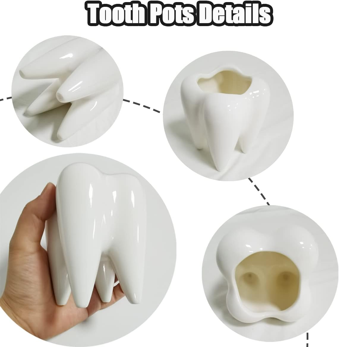 Small Ceramic Succulent Pots - 3" Teeth Shape Planters Indoor & Outdoor for Succulents and Herbs, Perfect as Planters, Toothbrush Holder, Pen Holder or Dentist Gifts