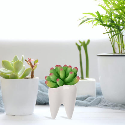 Small Ceramic Succulent Pots - 3" Teeth Shape Planters Indoor & Outdoor for Succulents and Herbs, Perfect as Planters, Toothbrush Holder, Pen Holder or Dentist Gifts