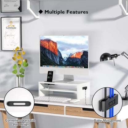 Wooden Monitor Stand Riser for Desk, 2-Tier Computer Monitor Stand
