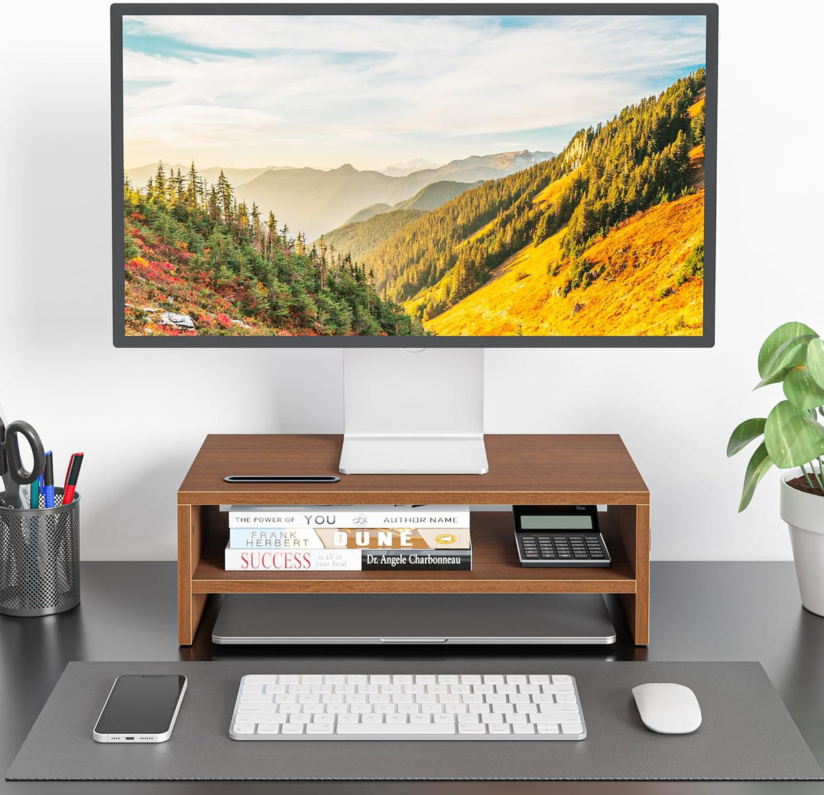 Wooden Monitor Stand Riser for Desk, 2-Tier Computer Monitor Stand