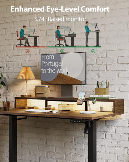 48 * 24 Inch Electric Standing Desk with Shelf & Led, Dark Walnut