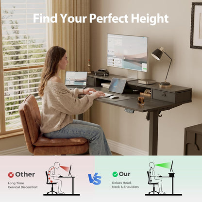 48 * 24 Inch Electric Standing Desk with Shelf & Led, Dark Walnut