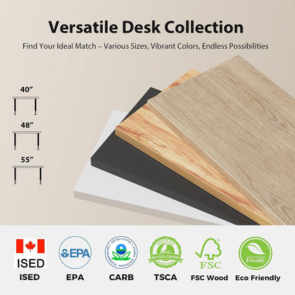 48 * 24 Inch Electric Standing Desk with Shelf & Led, Dark Walnut