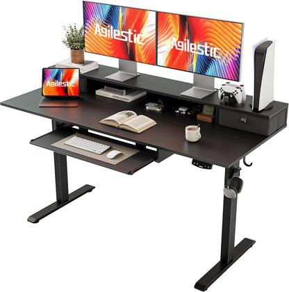 48 * 24 Inch Electric Standing Desk with Shelf & Led, Dark Walnut