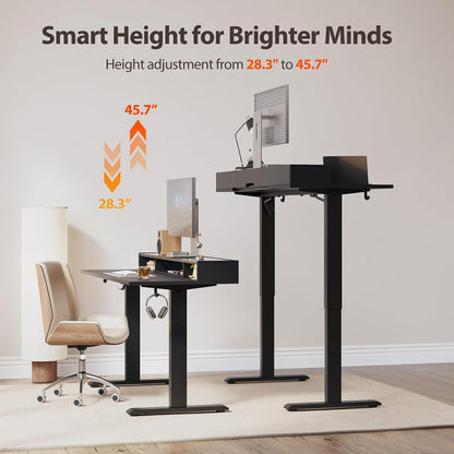 48 * 24 Inch Electric Standing Desk with Shelf & Led, Dark Walnut