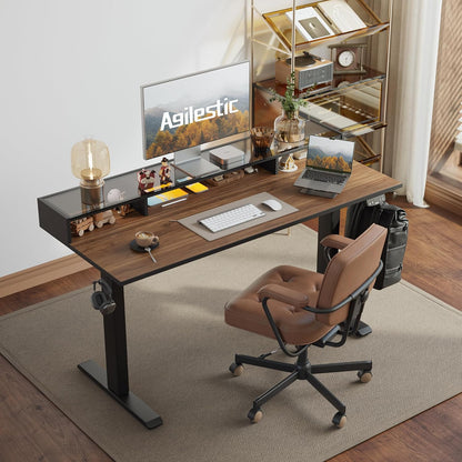 48 * 24 Inch Electric Standing Desk with Shelf & Led, Dark Walnut