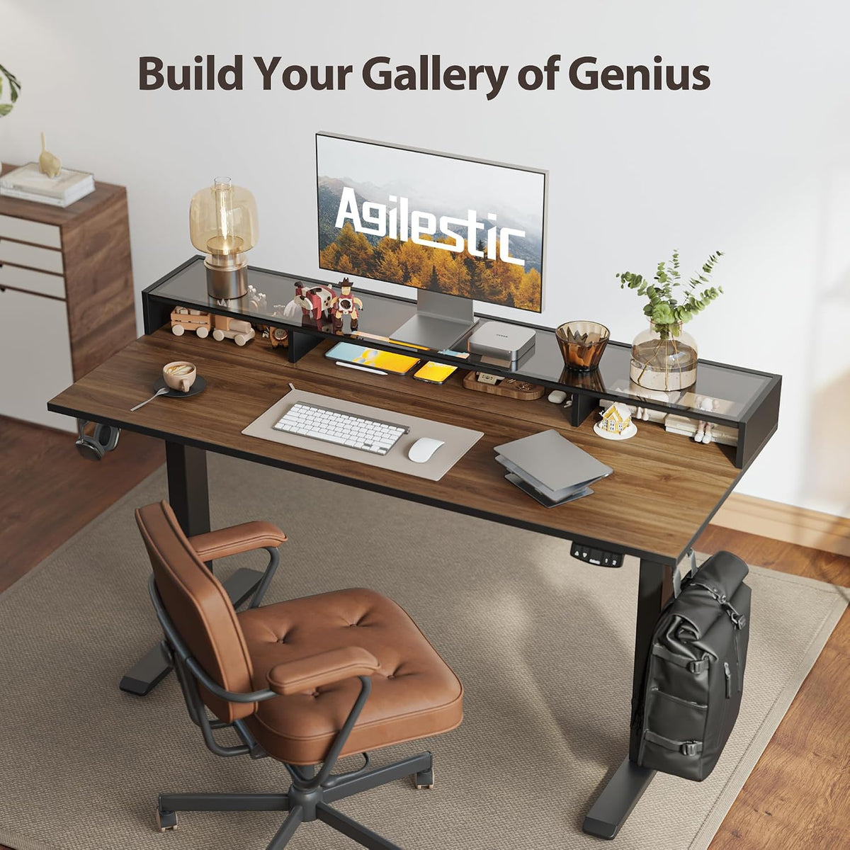 48 * 24 Inch Electric Standing Desk with Shelf & Led, Dark Walnut