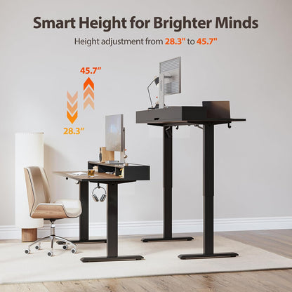 48 * 24 Inch Electric Standing Desk with Shelf & Led, Dark Walnut