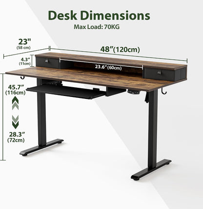 48 * 24 Inch Electric Standing Desk with Shelf & Led, Dark Walnut