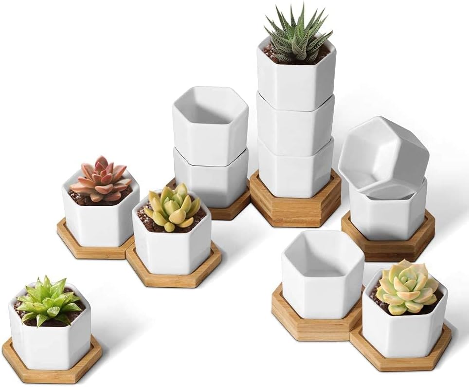 Small Succulent Pots 12 Pack, Mini Flower Planters with Drainage White