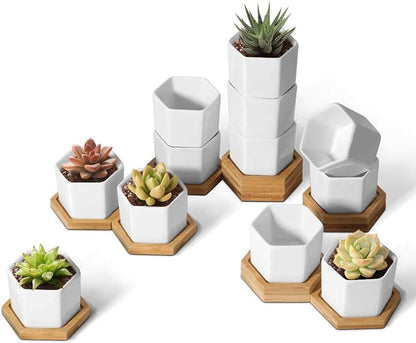 Small Succulent Pots 12 Pack, Mini Flower Planters with Drainage White