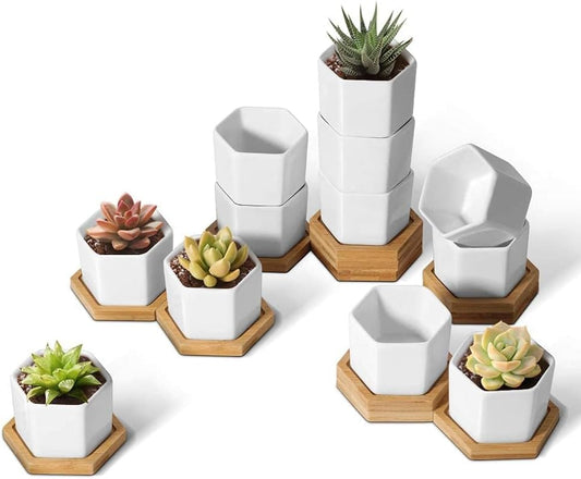 Small Succulent Pots 12 Pack, Mini Flower Planters with Drainage White