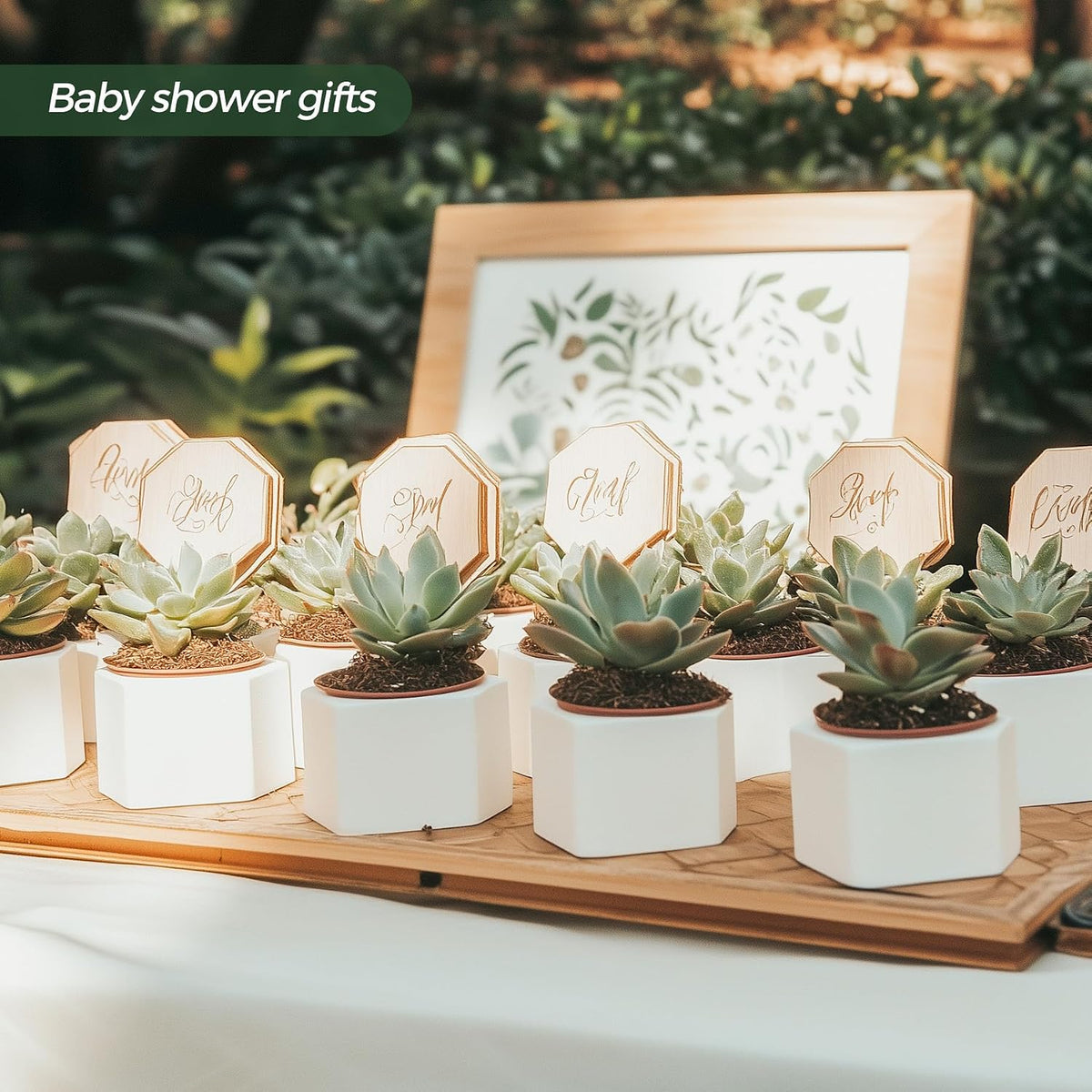 Small Succulent Pots 12 Pack, Mini Flower Planters with Drainage White