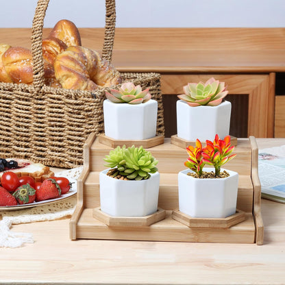Small Succulent Pots 12 Pack, Mini Flower Planters with Drainage White