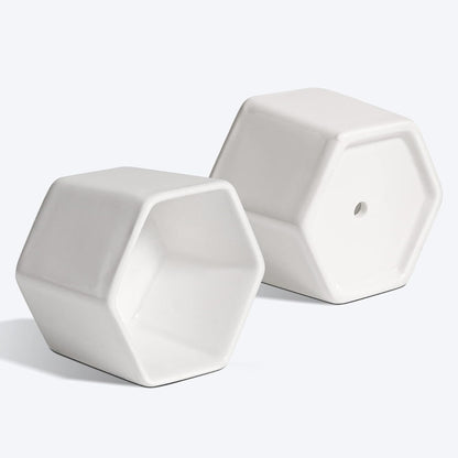 Small Succulent Pots 12 Pack, Mini Flower Planters with Drainage White