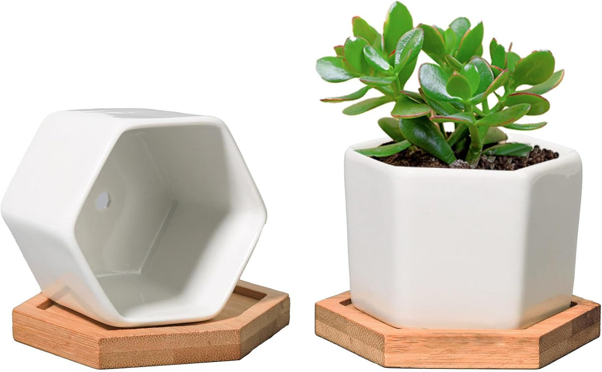 Small Succulent Pots 12 Pack, Mini Flower Planters with Drainage White