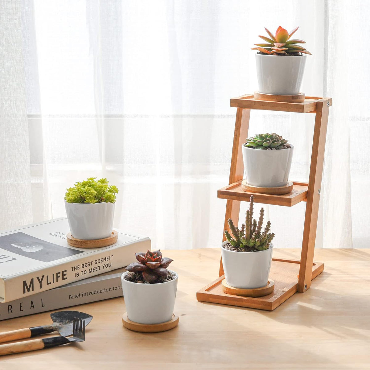 Small Succulent Pots 12 Pack, Mini Flower Planters with Drainage White