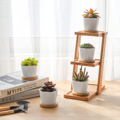 Small Succulent Pots 12 Pack, Mini Flower Planters with Drainage White