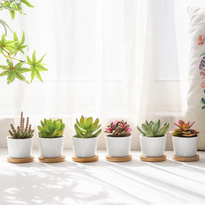 Small Succulent Pots 12 Pack, Mini Flower Planters with Drainage White