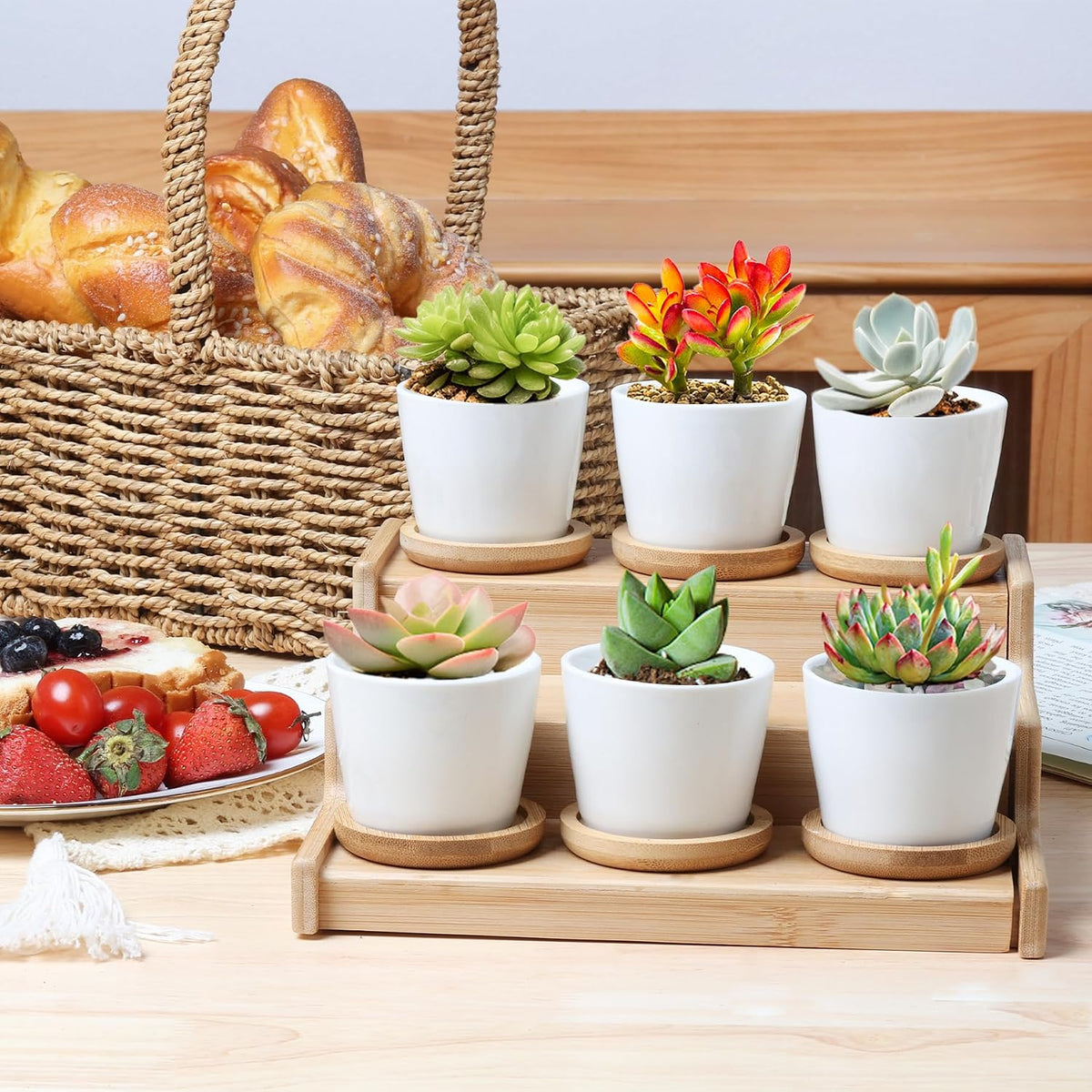 Small Succulent Pots 12 Pack, Mini Flower Planters with Drainage White