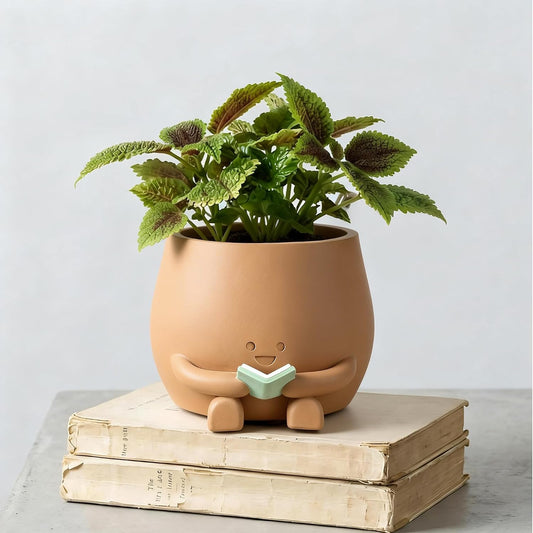 Smiley Face Planter, Book Lover Plant Pot, Resin Bookworm Planter