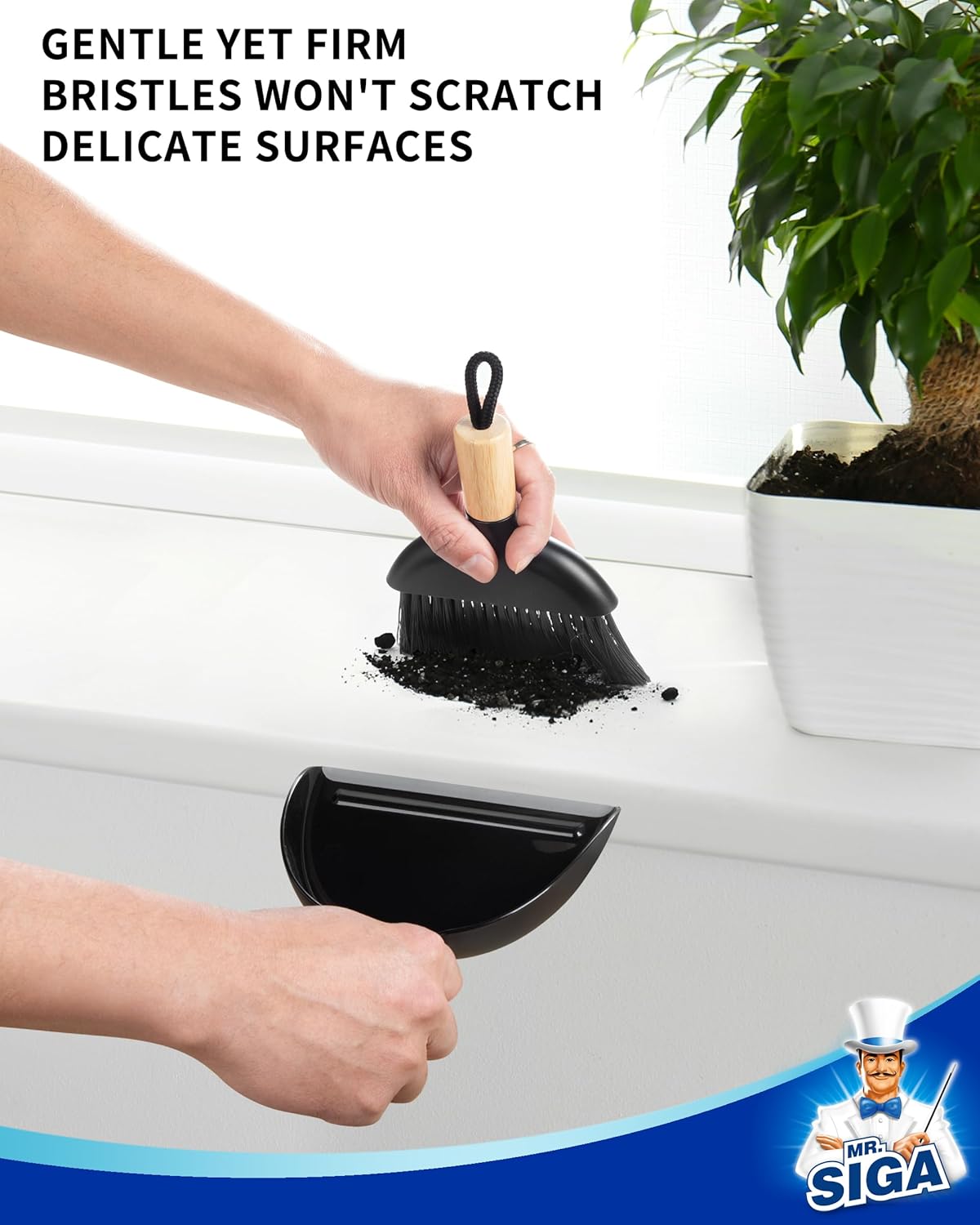 Mini Dustpan and Brush Set, Bamboo Handle, White, 1 Set