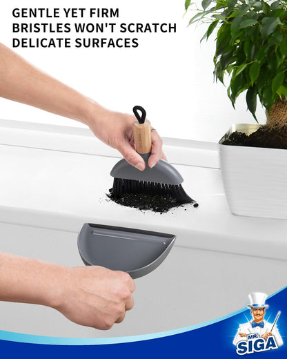 Mini Dustpan and Brush Set, Bamboo Handle, White, 1 Set