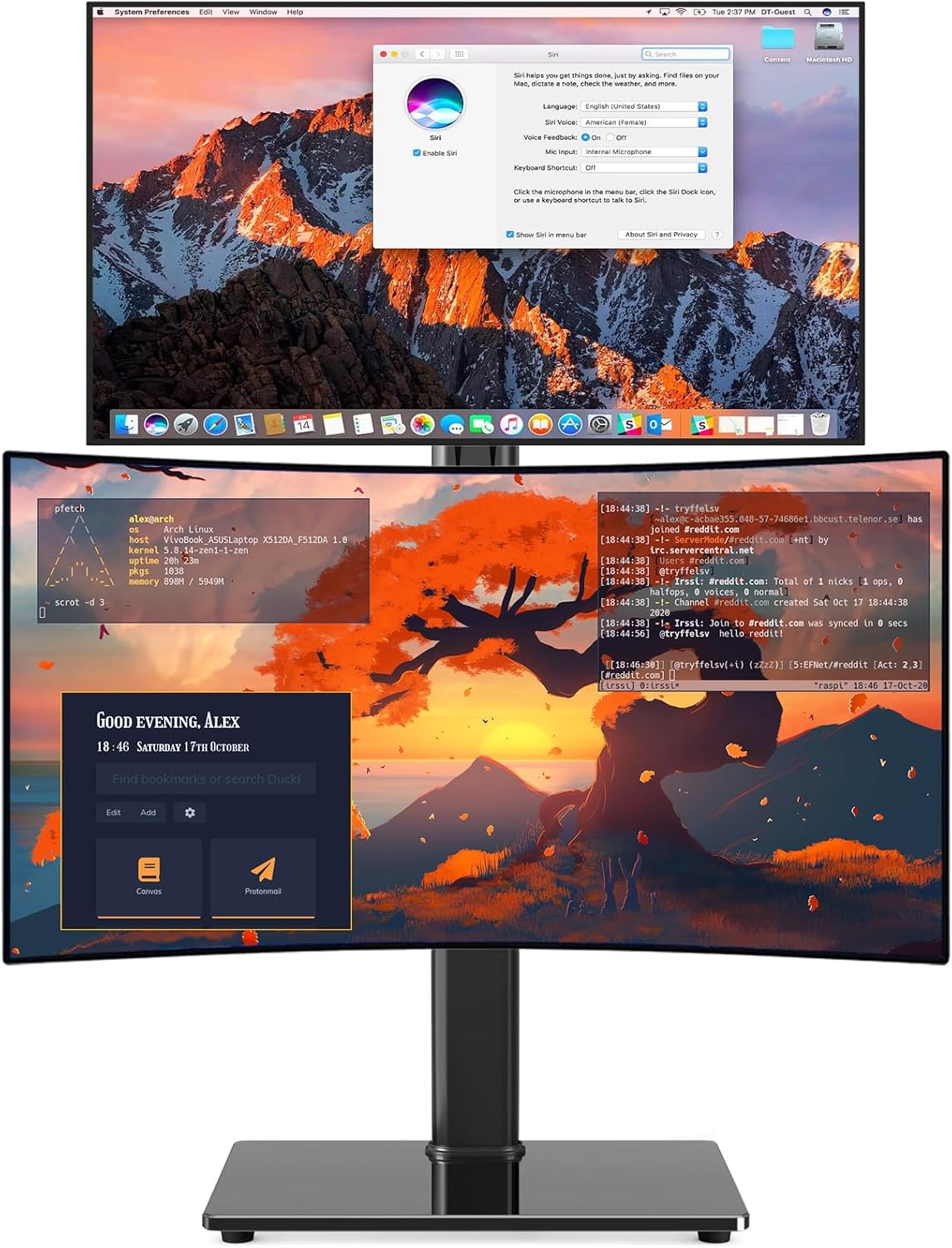 Single Monitor Stand VESA Mount for 13-32 Inch Screens