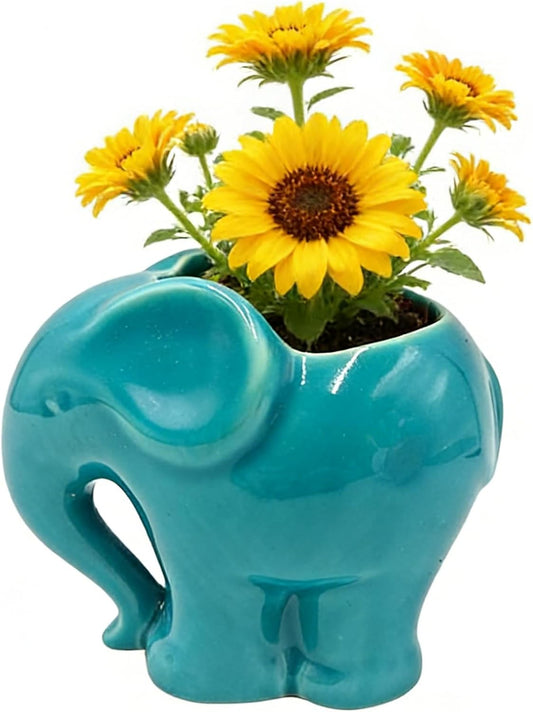 Blue Elephant Succulent Planter with Drainage Hole, Cute Makeup Brush Organizer Toothbrush Holder Pen Pencil Holder for Kids Desk, Elephant Gifts for Women