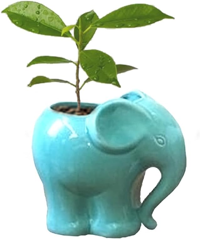 Blue Elephant Succulent Planter with Drainage Hole, Cute Makeup Brush Organizer Toothbrush Holder Pen Pencil Holder for Kids Desk, Elephant Gifts for Women