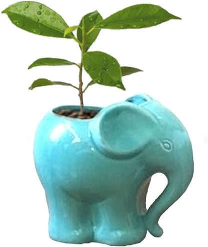 Blue Elephant Succulent Planter with Drainage Hole, Cute Makeup Brush Organizer Toothbrush Holder Pen Pencil Holder for Kids Desk, Elephant Gifts for Women