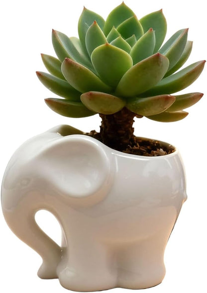 Blue Elephant Succulent Planter with Drainage Hole, Cute Makeup Brush Organizer Toothbrush Holder Pen Pencil Holder for Kids Desk, Elephant Gifts for Women