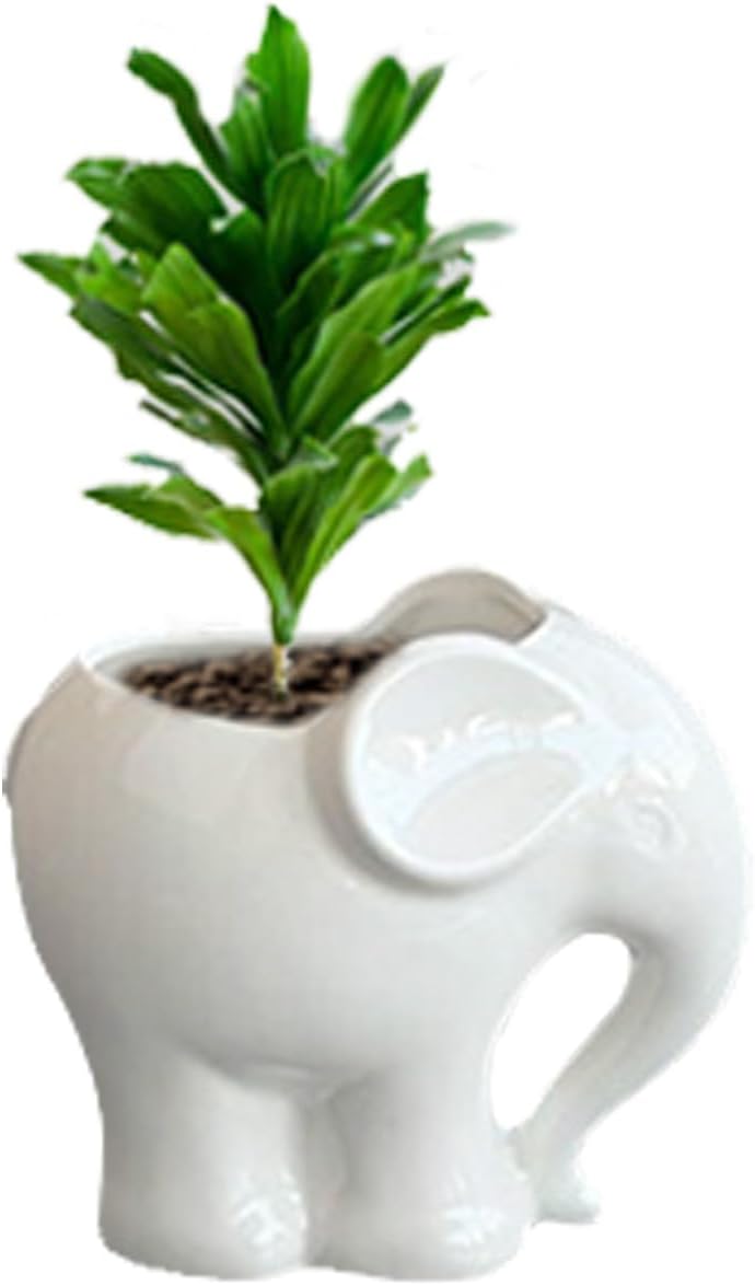 Blue Elephant Succulent Planter with Drainage Hole, Cute Makeup Brush Organizer Toothbrush Holder Pen Pencil Holder for Kids Desk, Elephant Gifts for Women