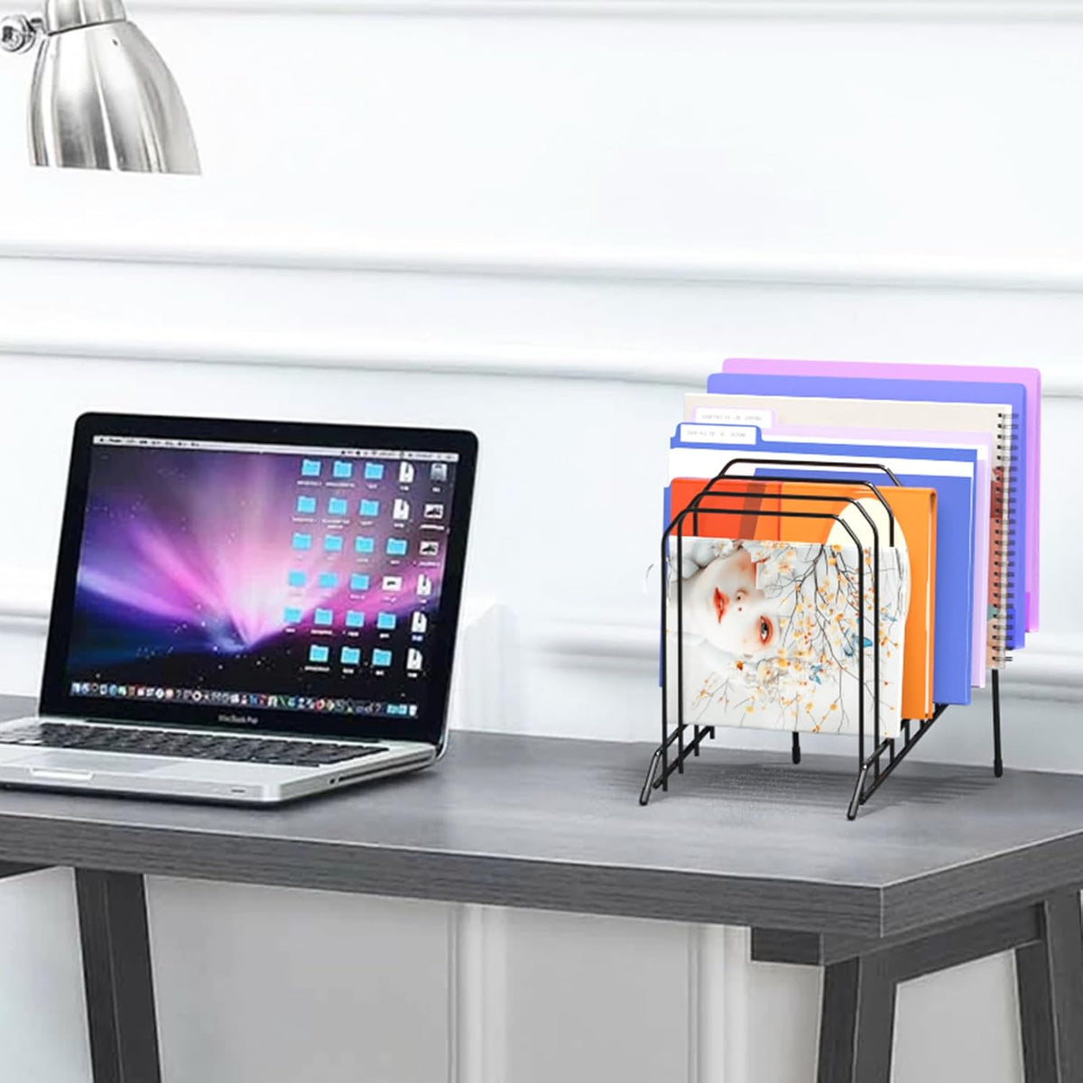Incline Desk Magazine Folder Holder File Organizer with 8-Section